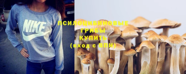 твердый Михайловка