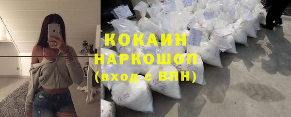 шишки Михайловск