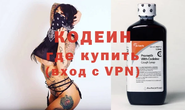 шишки Михайловск
