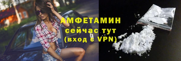 шишки Михайловск