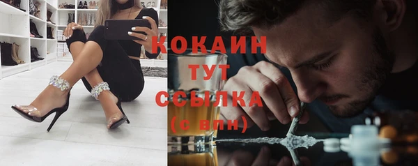 твердый Михайловка